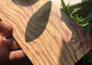 高性能の粉のコートの木製の木質のある仕上げのよい機械性能